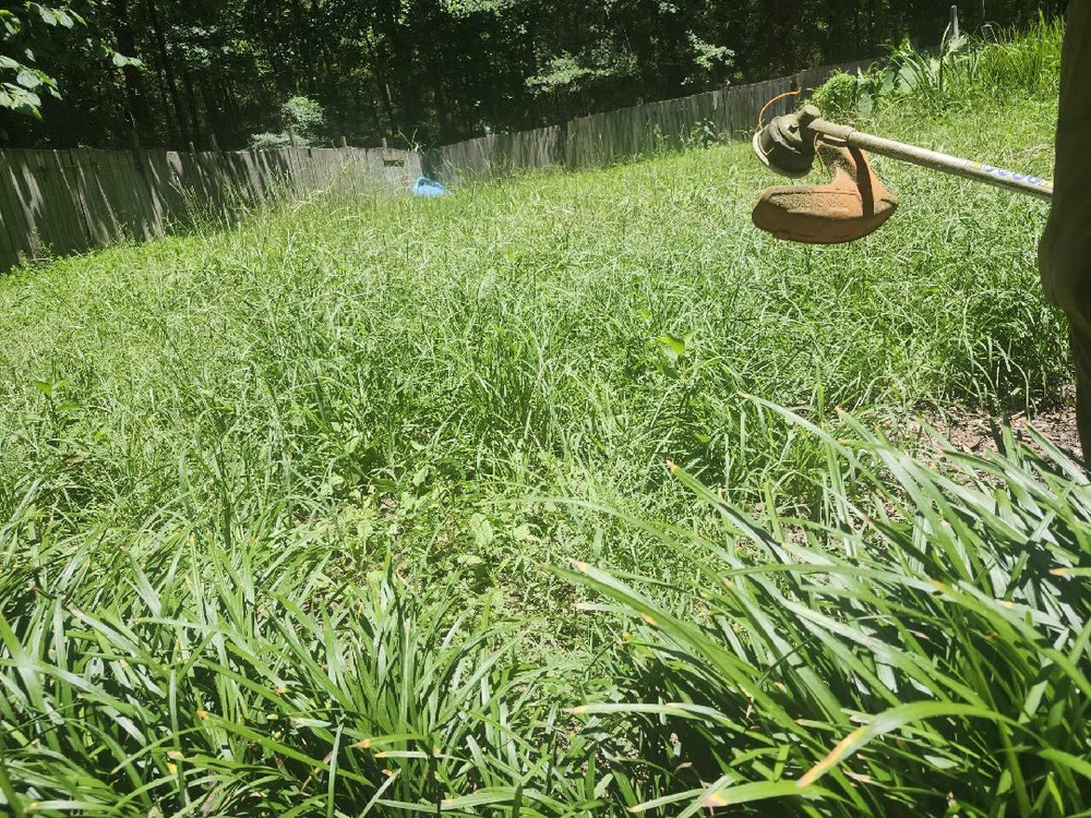 All Photos for Fresh Cut Yard & Lawn Care LLC in Forsyth, GA