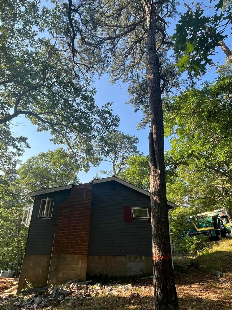All Photos for Native Roots Tree Service in Falmouth, MA