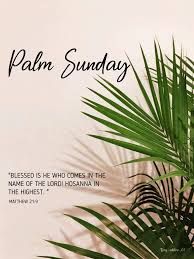 All Photos for El Perico Tree Service and Lawn Care, LLC in Boonville, North Carolina