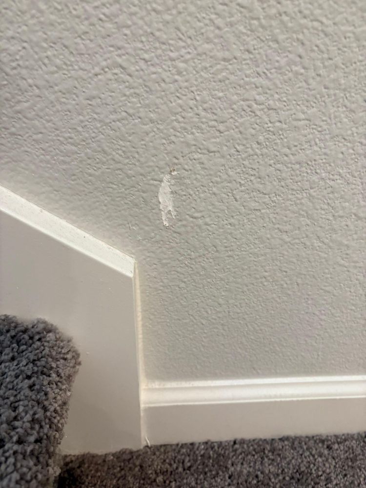 All Photos for Orcutt Roofing & Home Repair Professionals in Portland, OR