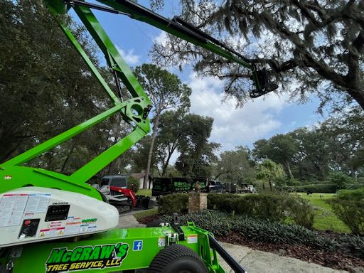 All Photos for McGraw’s Lawn and Tree Service in DeLand, FL