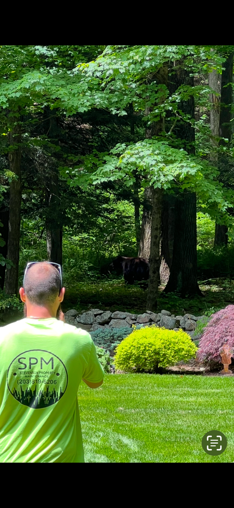 All Photos for Stevenson Property Maintenance in Cheshire, CT