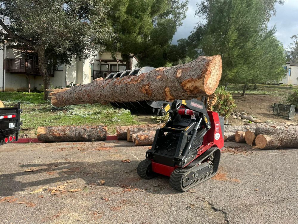 Tree Services for The Tree Fairy in Julian, CA