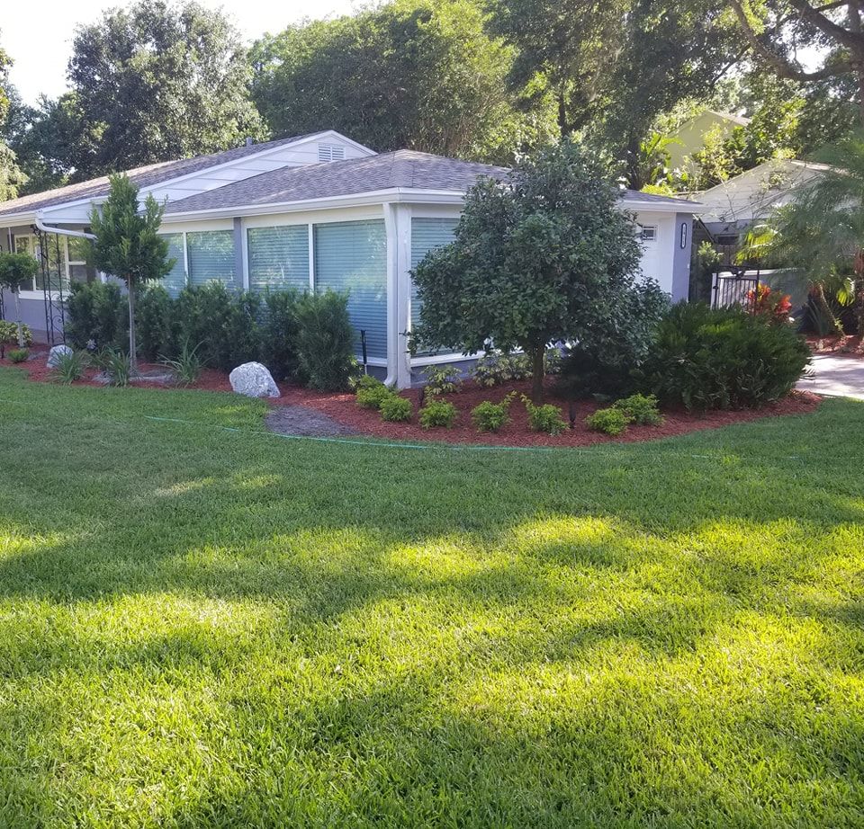 All Photos for Sam's French Drains and Landscape in Orlando, Florida