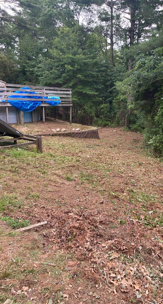 All Photos for Robery's Tree Service in West Wareham, MA