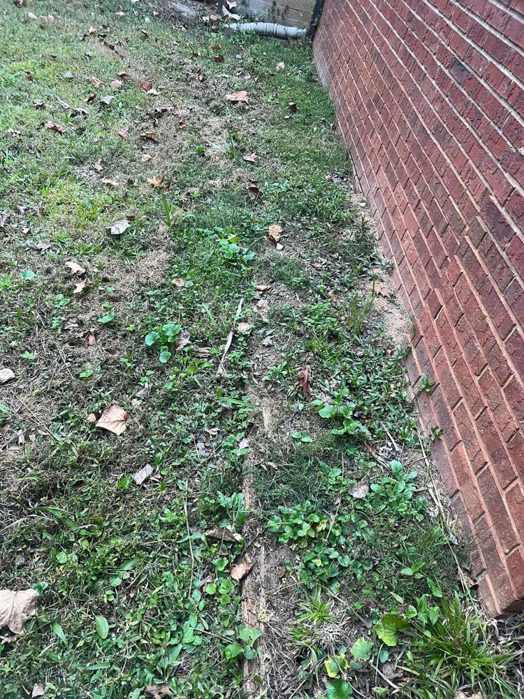 All Photos for Williams Brothers Landscaping & Construction in Atlanta, GA