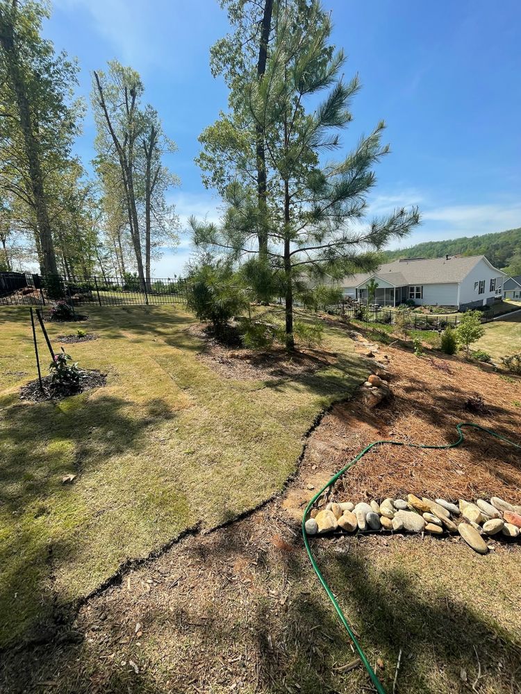 All Photos for Down To Earth Tree and Landscaping in Greenville, SC