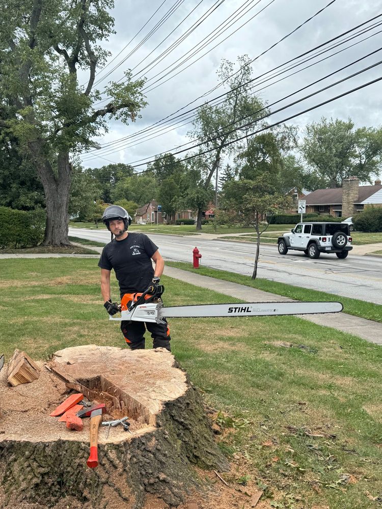 Down To Earth Tree Service, LLC team in Olmsted Falls, OH - people or person
