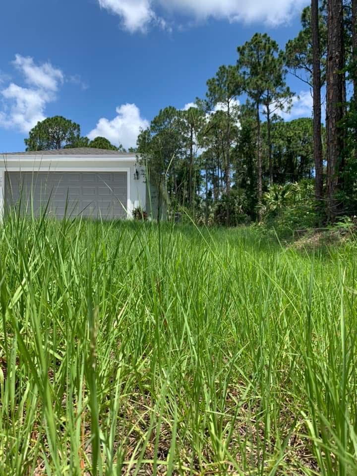 All Photos for Space Coast Property Maintenance and Management LLC in Melbourne, FL