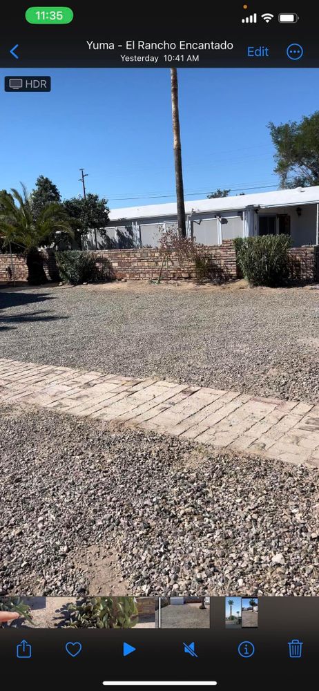 All Photos for Oliver L. Palm & Tree services in Yuma County, AZ