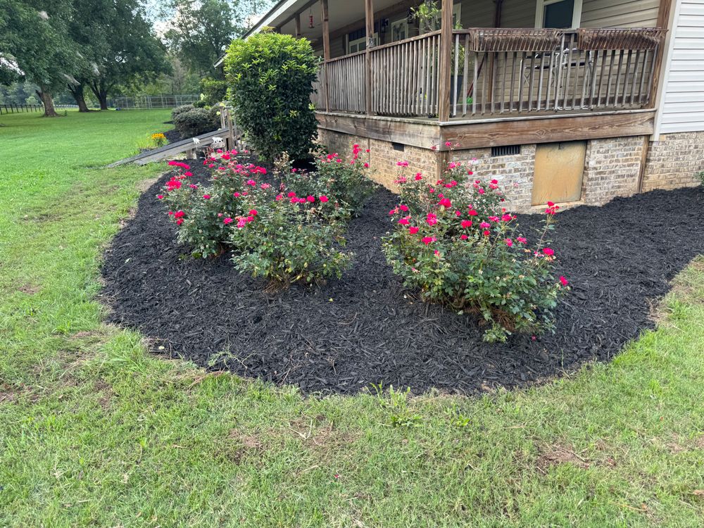 All Photos for Camalett Services in Perry, GA