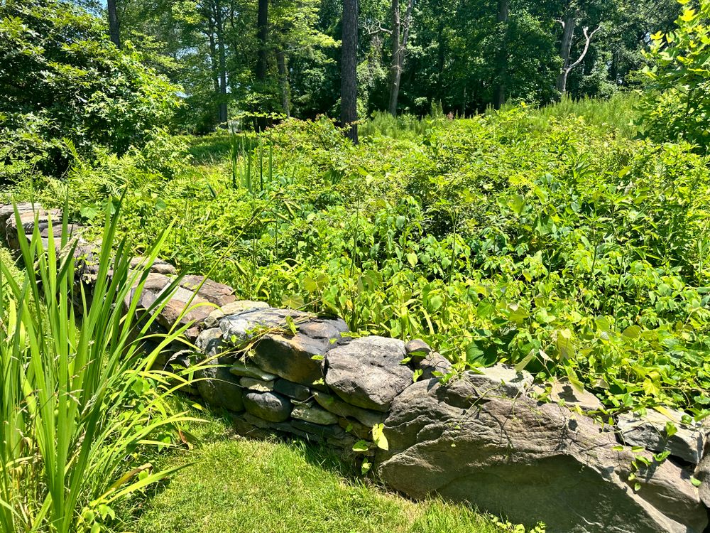 All Photos for Matteo Hardscapes in Towson,  MD