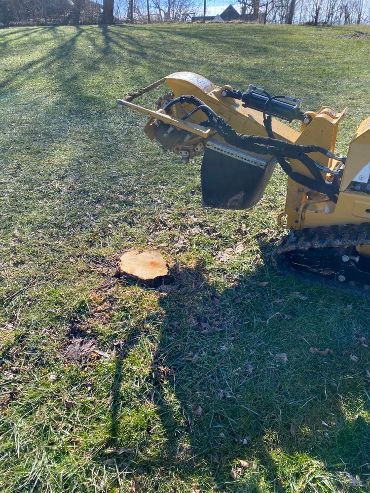 All Photos for Houtz Tree Service in Lexington, KY