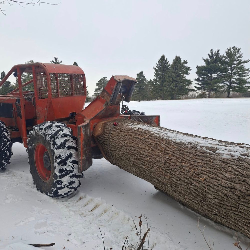 All Photos for God's Country Timber Management in Hillsdale, MI
