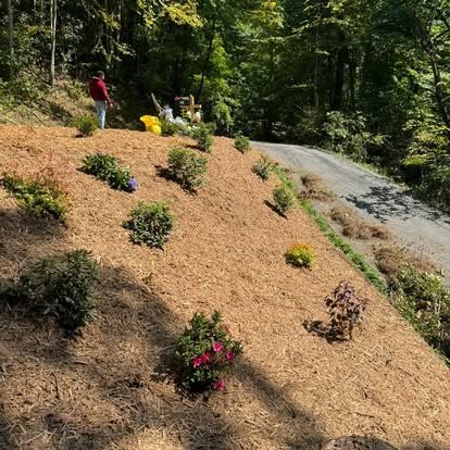All Photos for Lopez Landscaping and Tree Service  in Waynesville, NC