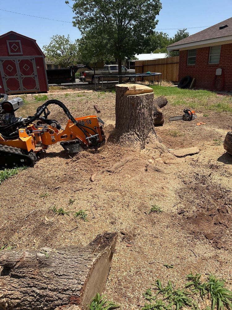 Tree Removal for Compas Cleanup in McCamey, TX