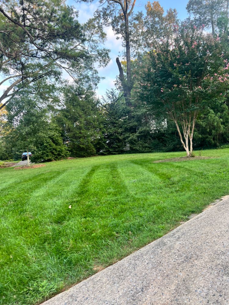 All Photos for Massey Landscaping in Gastonia, NC