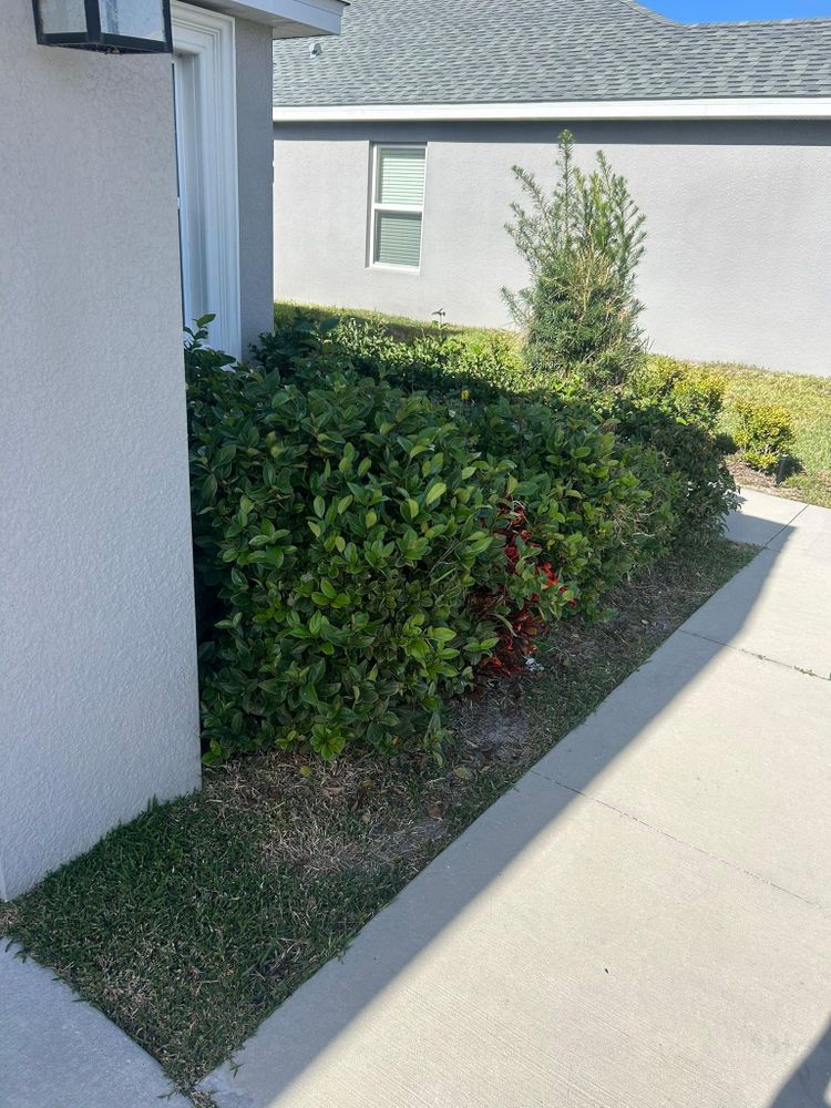 All Photos for Estrada All Pro Lawn Service in Auburndale, Florida