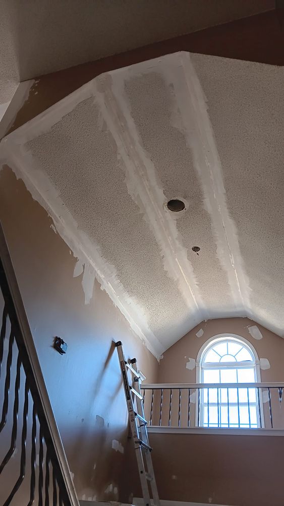 Fence and Full Home Interior Painting and Drywall repair for Dead Tree General Contracting in Carbondale, Illinois