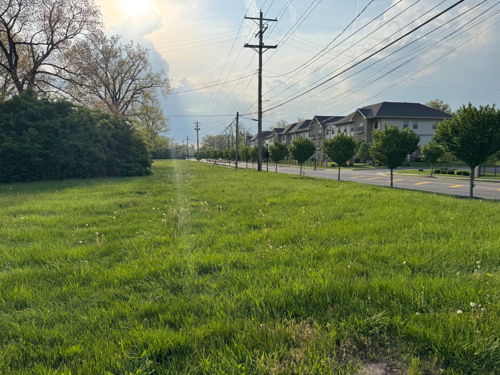 All Photos for A1 Bush Hogging & Lawn Service in Columbus, OH