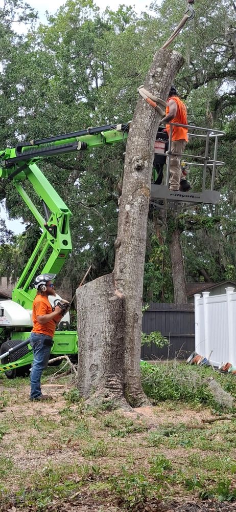 All Photos for Daniel Hickey’s Tree Service in DeLand, FL