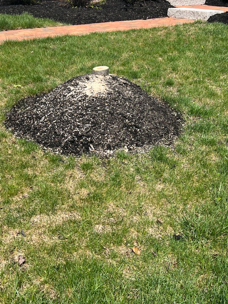 All Photos for Mark’s Mowing & Landscaping LLC  in Ashville, OH