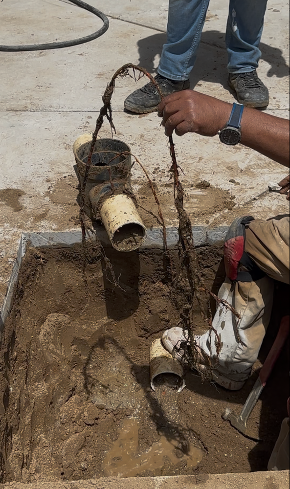 All Photos for Drain and Sewer PRO in San Bernardino, CA