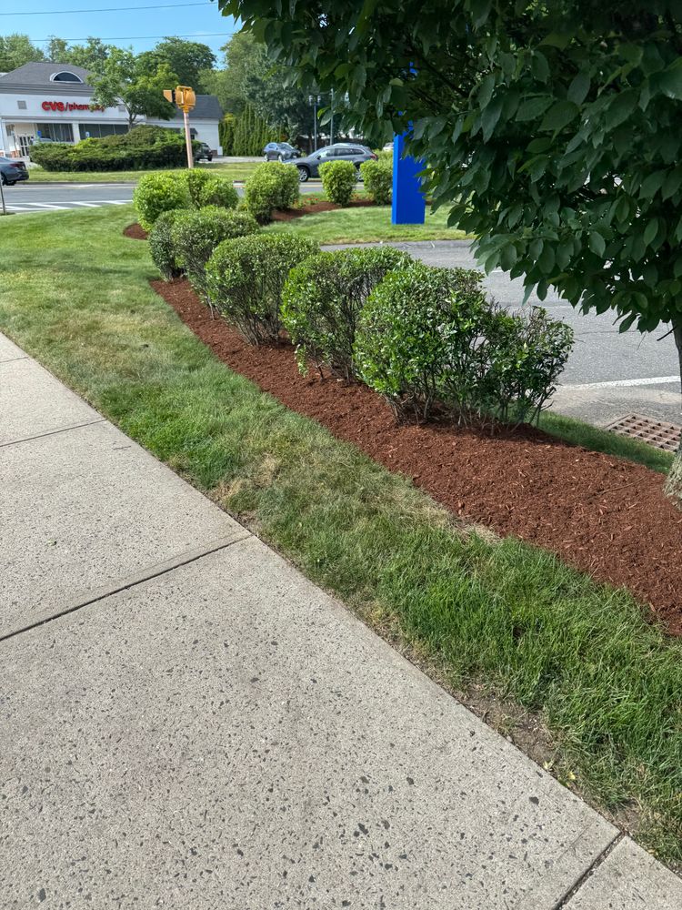 All Photos for Adams Landscaping in Springfield, MA