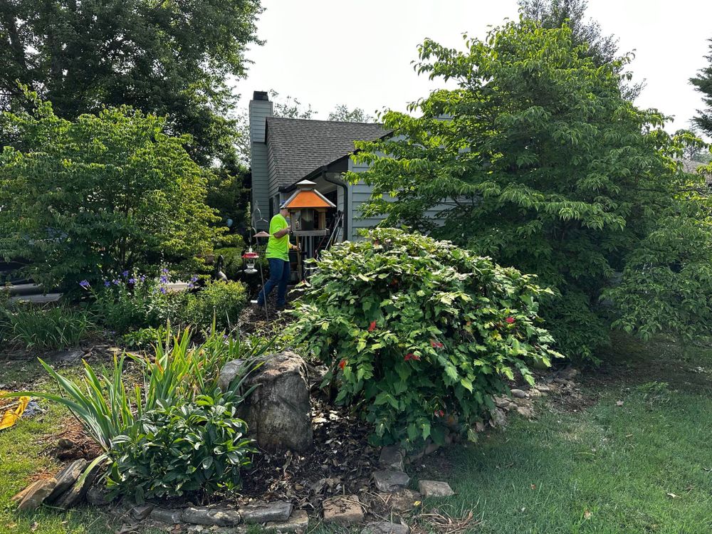 Tree Removal for Settle Tree Services in Knoxville, TN