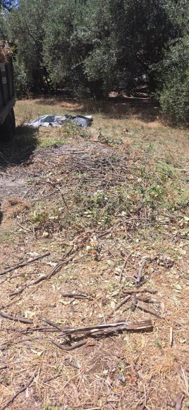 All Photos for Logan's Dump Run in Chico, CA