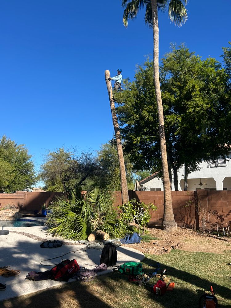 All Photos for Copperhead Solution in Phoenix, Arizona