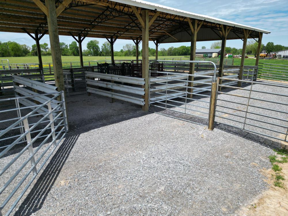 All Photos for Mill Creek Fencing&Landscaping in Lavinia, TN