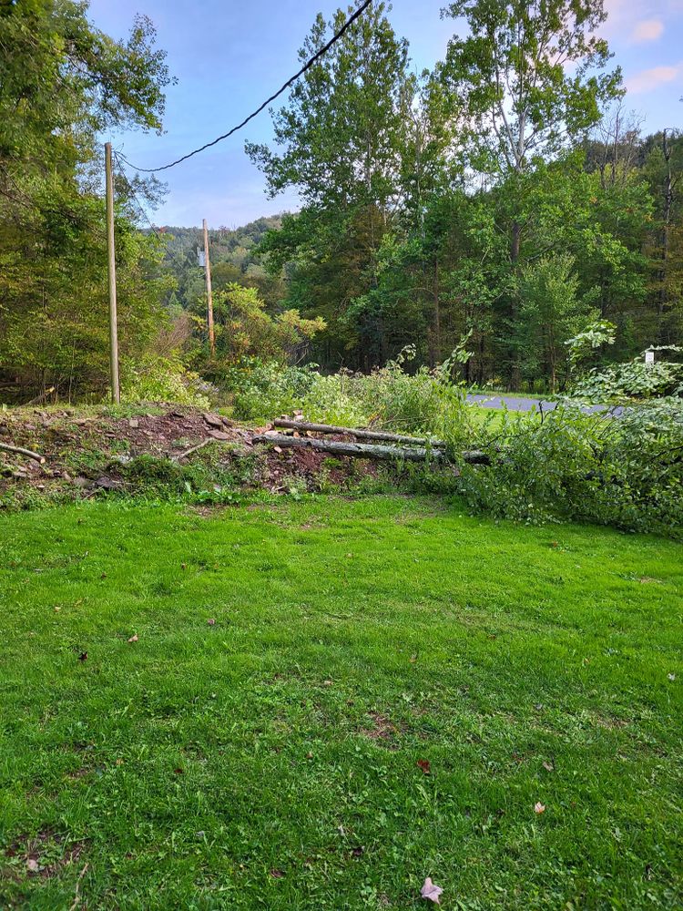 Tree Services for Fowler's Tree Service LLC. in New Albany, PA