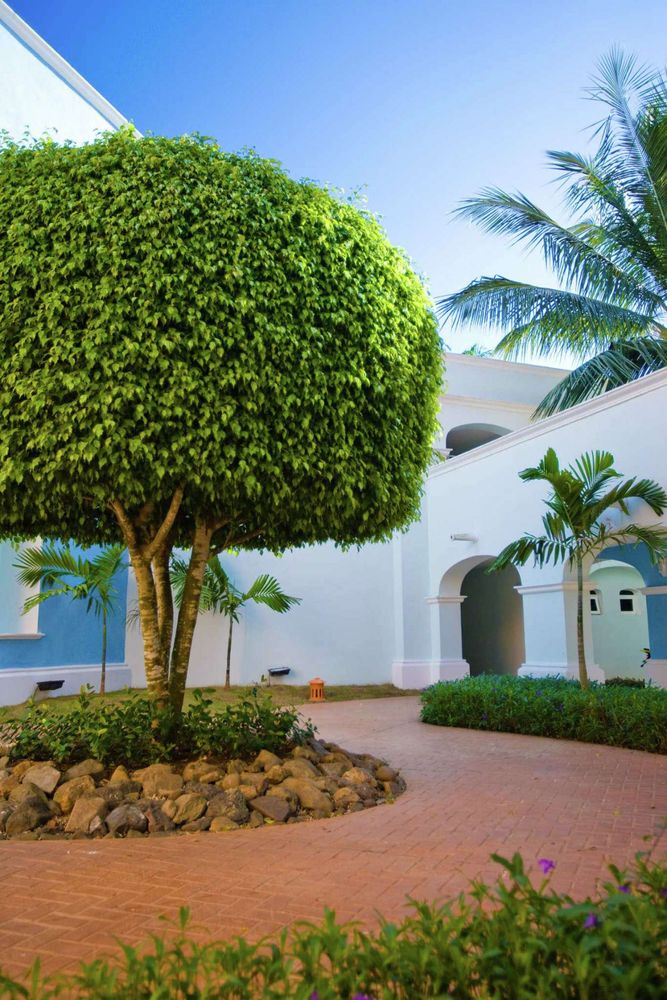 Enhance your home's curb appeal and safety with our professional tree trimming service, promoting healthy growth while removing unwanted branches for a pristine landscape that complements your property beautifully. for Cheap Jimm Tree Services in High Point, NC