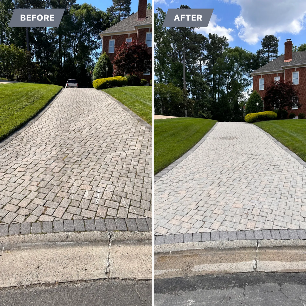 All Photos for LeafTide Solutions in Richmond, VA