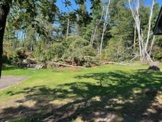 All Photos for Dan's Tree Service LLC in Bemidji, MN