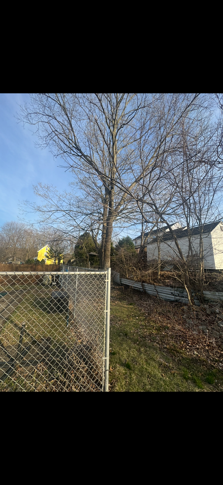 All Photos for Hennessey Tree & Landscape LLC in Oxford,  CT 