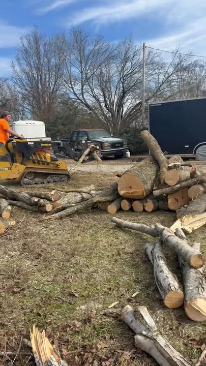 All Photos for Ross Family Tree Service LLC  in Hohenwald, TN