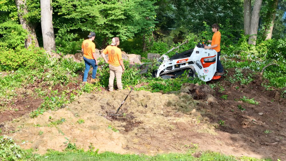 Landscape & Bed Design for Ace Landscaping in Trumbull, CT