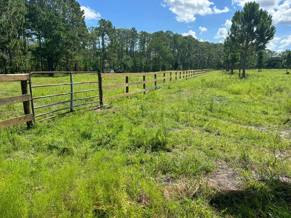 All Photos for Walsh Fencing & Land Management in Tavares, FL