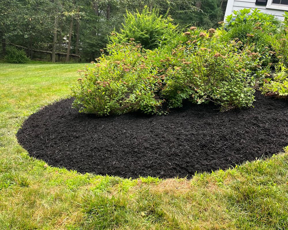 Fall Clean Up for Ovidio's Landscaping in Westchester County, NY