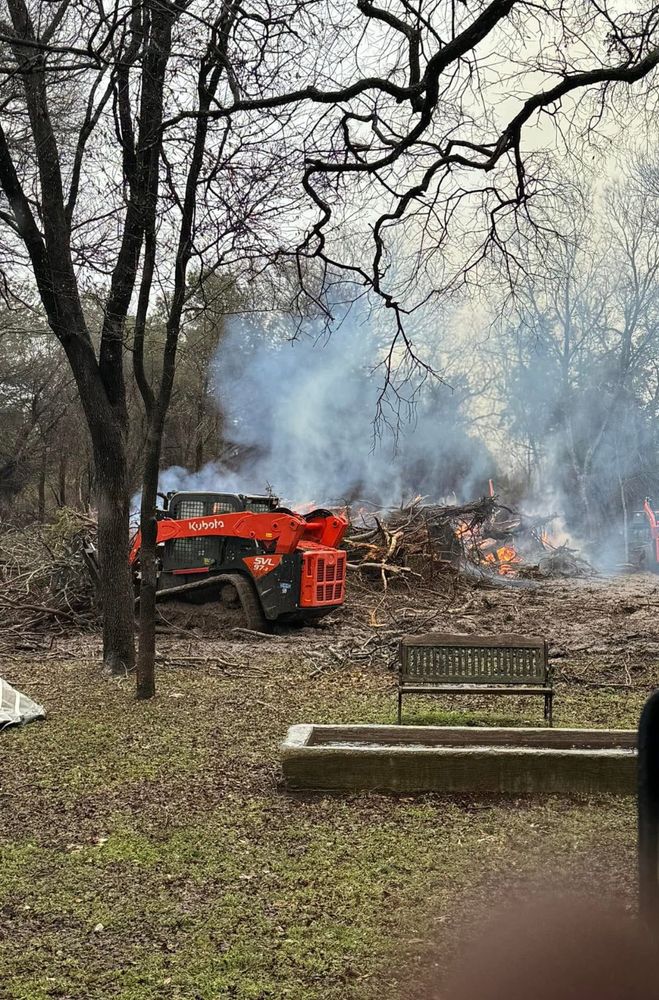 Tree Removal for Superior Lawn and Tree LLC in Clifton, TX