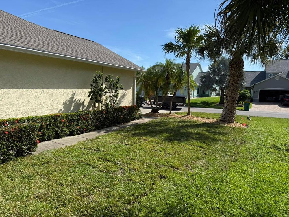 All Photos for Florida Pro Turf in Rockledge, FL