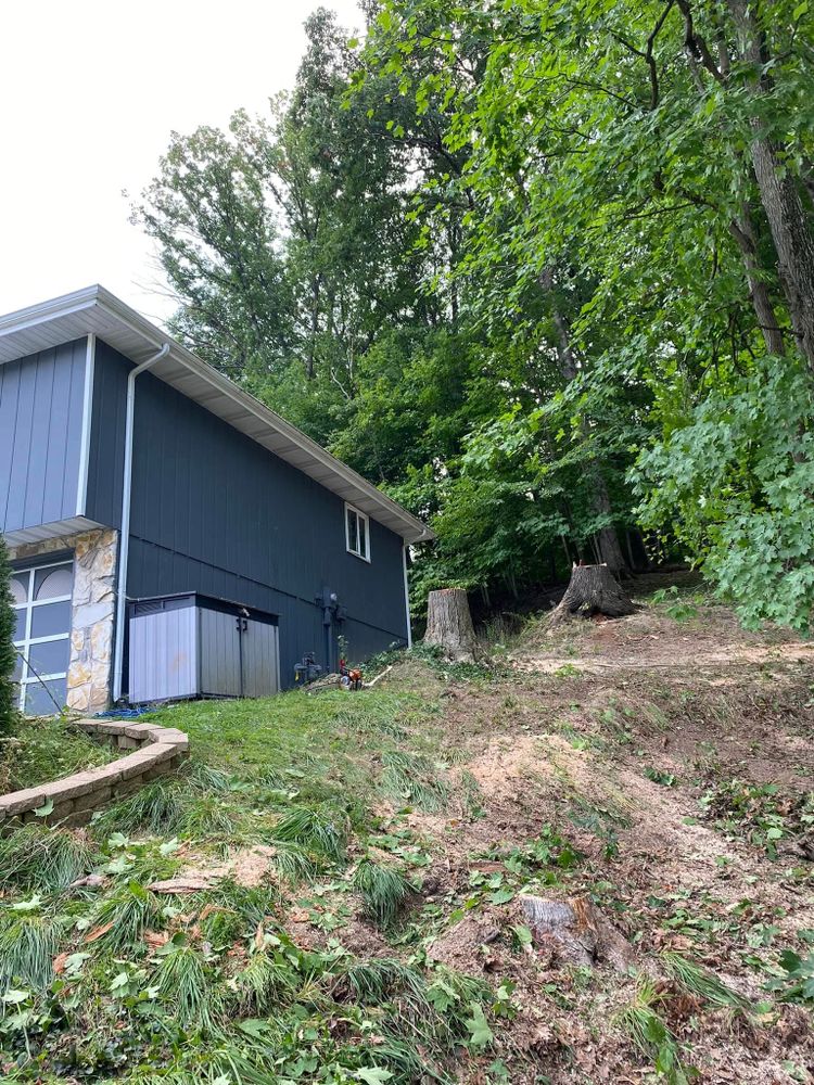 All Photos for Highborn Tree Service in Wheatfield, IN