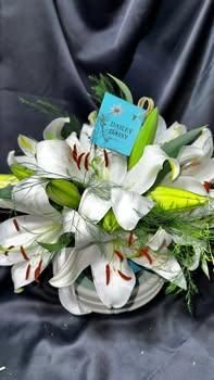 All Photos for The Dailey Daisy in Hardwick, VT