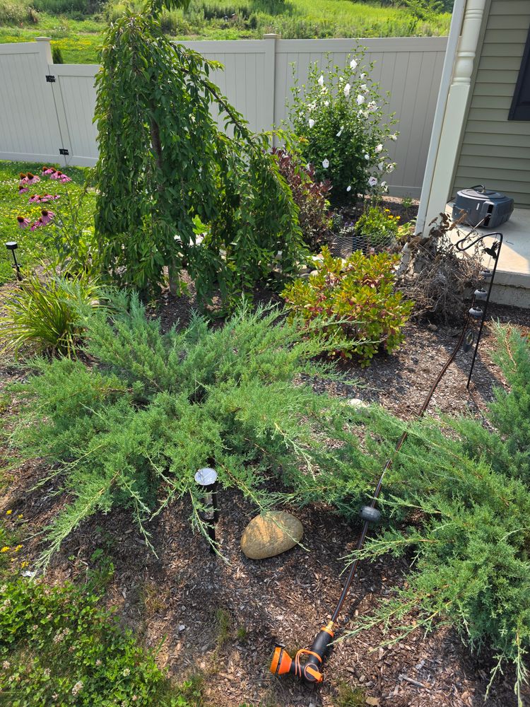 All Photos for Sweet Scapes in Ballston Spa, NY