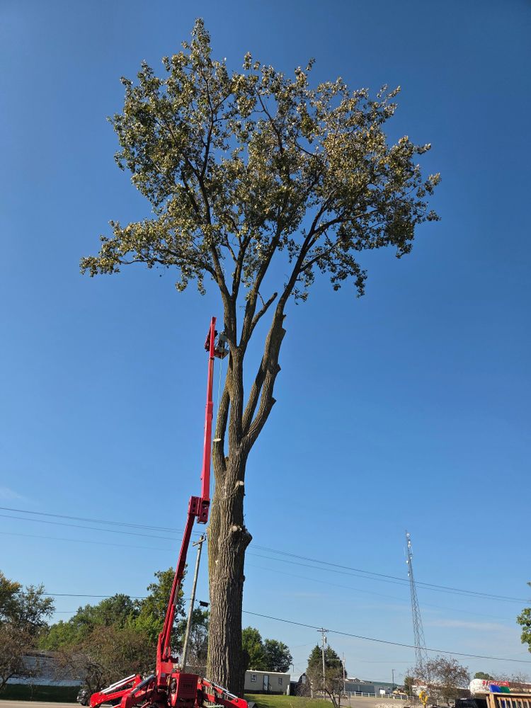 All Photos for Lawn Ranger Yard And Tree Service LLC in Ottumwa, IA