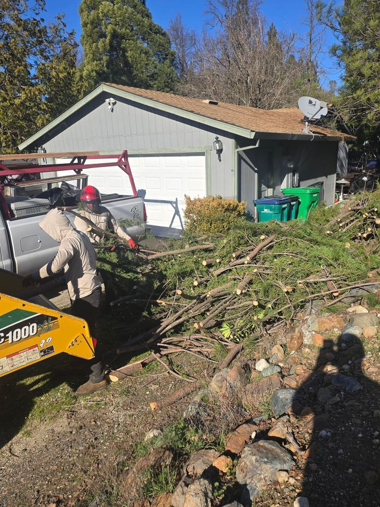 All Photos for Terra Heights Tree Experts & Landscaping  in Grass Valley,  CA