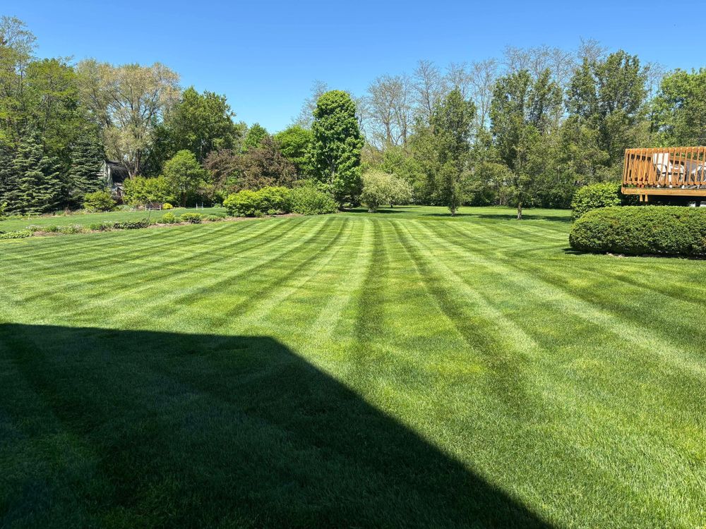 All Photos for Steed's Lawn and Landscape LLC in White Lake, MI