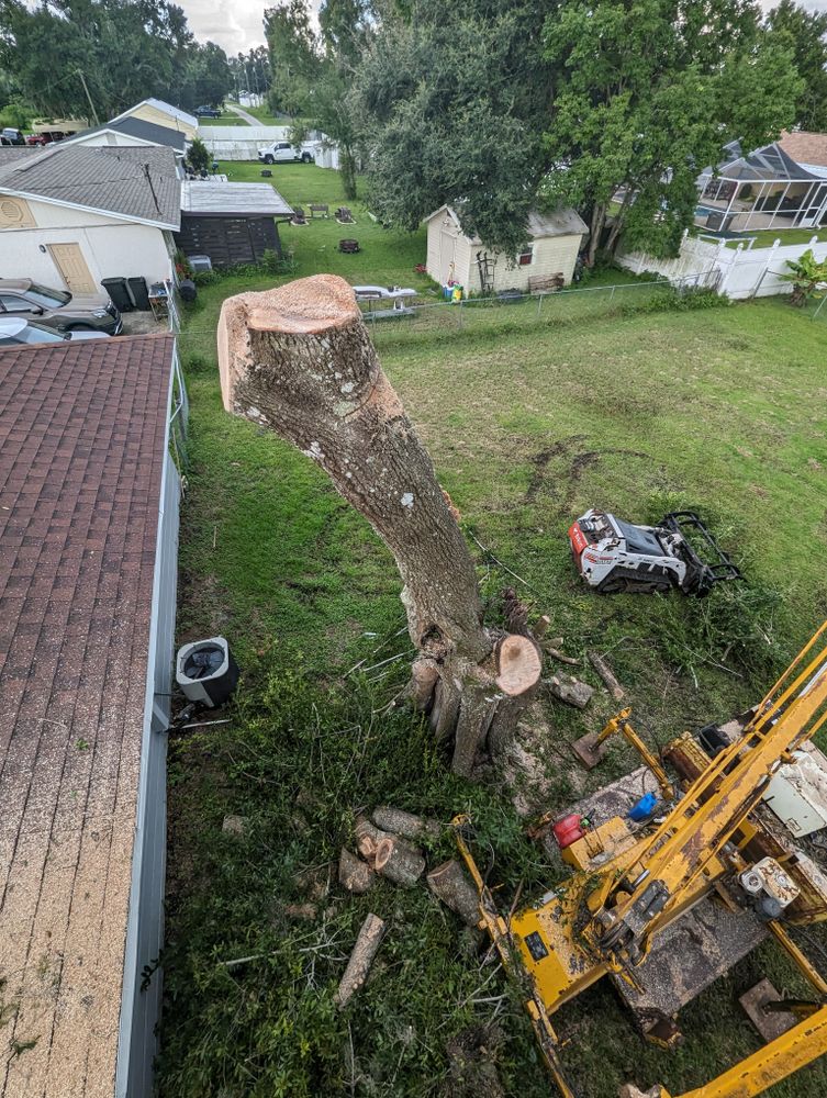All Photos for Regal Tree Service and Stump Grinding in Wauchula, FL